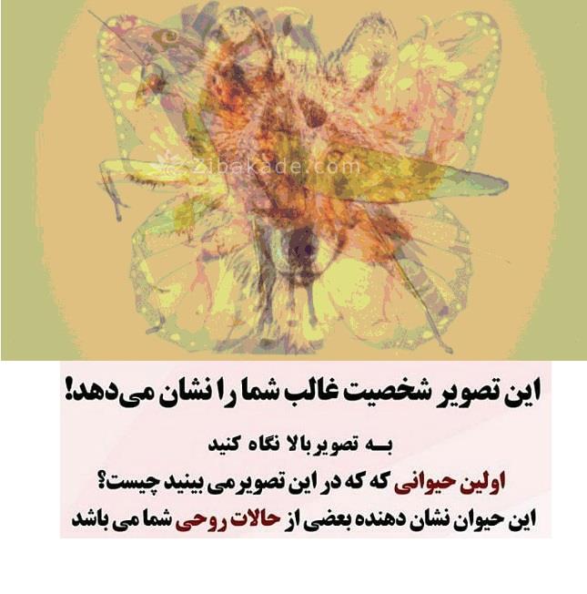 تست روانشناسی